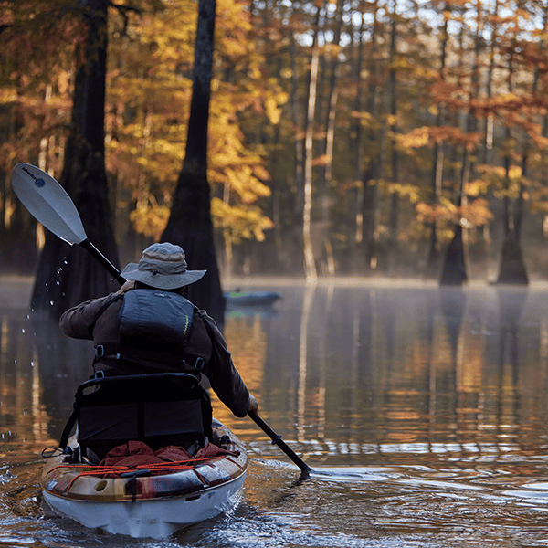 Haywood county kayaking in the river