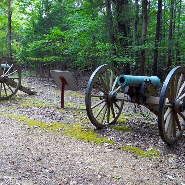 Henderson county cannons