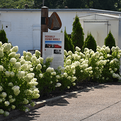 Mcnairy rockabilly highway mural sign next to flowers