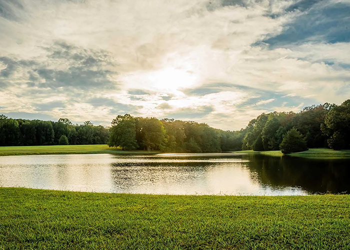 field overlooking a pond with a tree line behind it